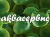 АКВАСЕРВИС, аквариумный салон Новосибирск