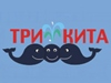 ТРИ КИТА, многопрофильный центр для детей и взрослых Новосибирск
